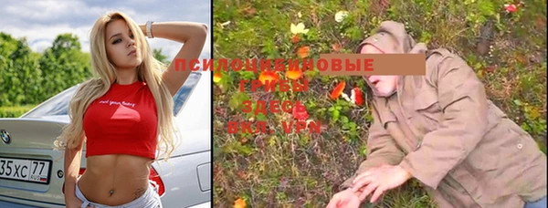 тгк Новодвинск