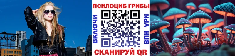 ОМГ ОМГ как войти  закладки  Ангарск  Галлюциногенные грибы Psilocybe 