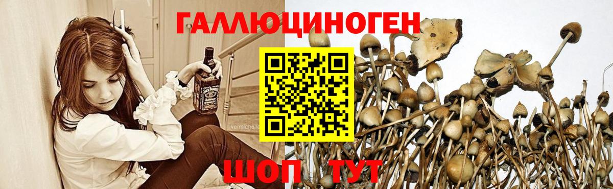 Псилоцибиновые грибы мицелий  Вход с VPN  Ангарск 